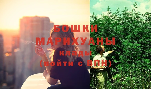 сатива Балабаново